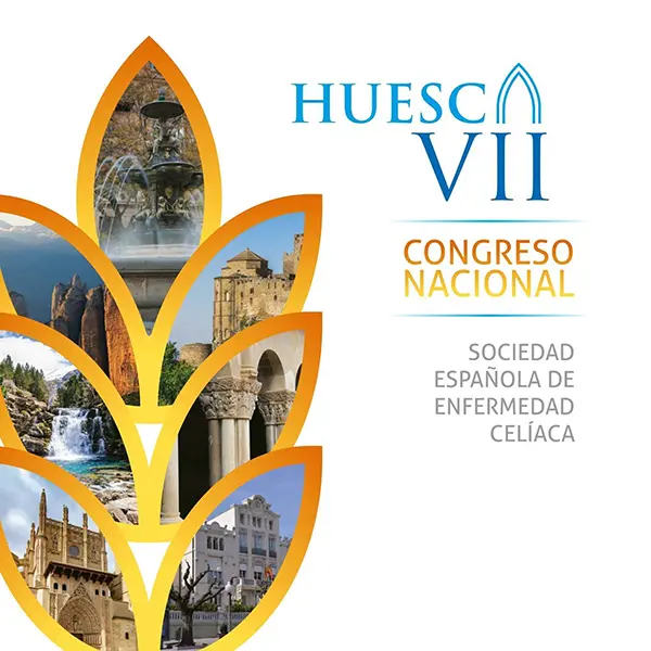 VII Congreso Huesca contenido socios