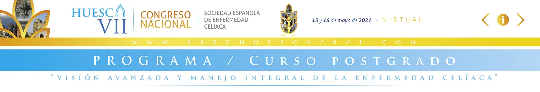 Curso Posgrado VII Congreso Huesca Sociedad espanola de enfermedad celiaca